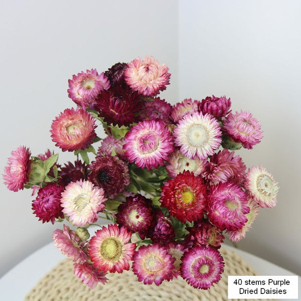 Flower Arrangements, Natural Dried Purple Daisy Flowers, Natural Decorations, A Bunch of Dried Daisy Flowers, Handmade Artificial Flowers for Home Decor-HomePaintingDecor