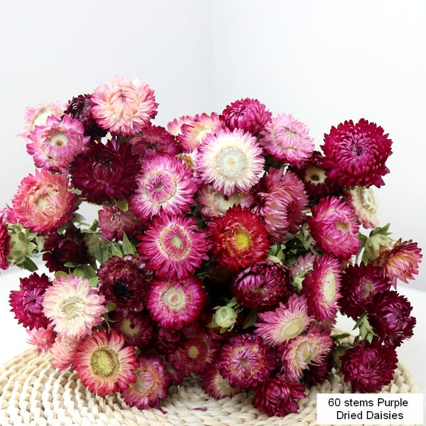 Flower Arrangements, Natural Dried Purple Daisy Flowers, Natural Decorations, A Bunch of Dried Daisy Flowers, Handmade Artificial Flowers for Home Decor-HomePaintingDecor
