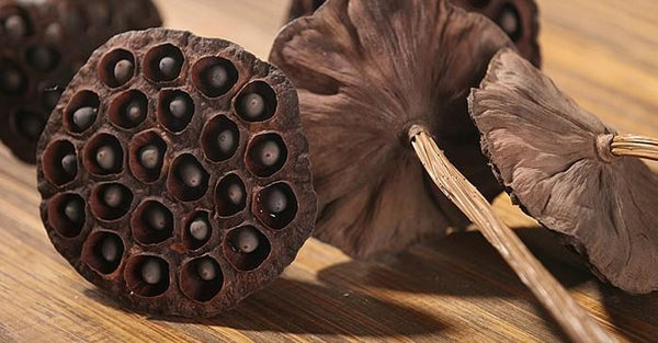 Lotus Flower Arrangement, 10 Stems Lotus Pods, Dried Lotus Pods, Natural Decor, Rustic Decor-HomePaintingDecor