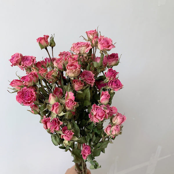 Red Yellow Purple Dried Rose Floral, Dried Rose Flower Bouquet, A Bouquet of Dried Rose Flowers, Natural Dried Rose Flower Bunches, A Bunch Dried Rose Flowers-HomePaintingDecor