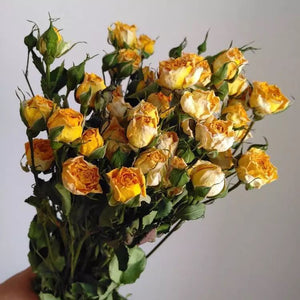 Natural Dried Flowers