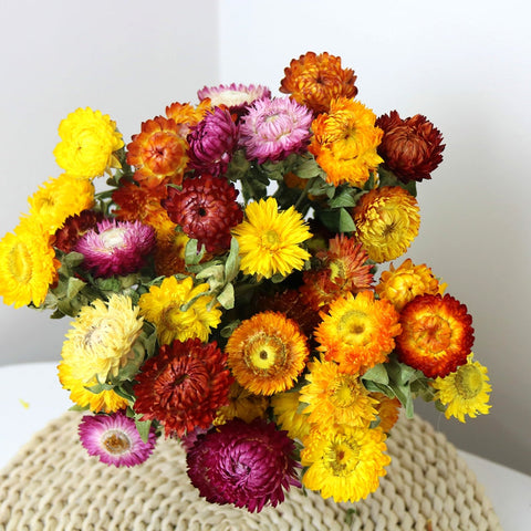 Natural Dried Daisy Flowers, Flower Arrangements, Natural Decorations, A Bunch of Dried Daisy Flowers, Handmade Artificial Flowers for Home Decor-HomePaintingDecor