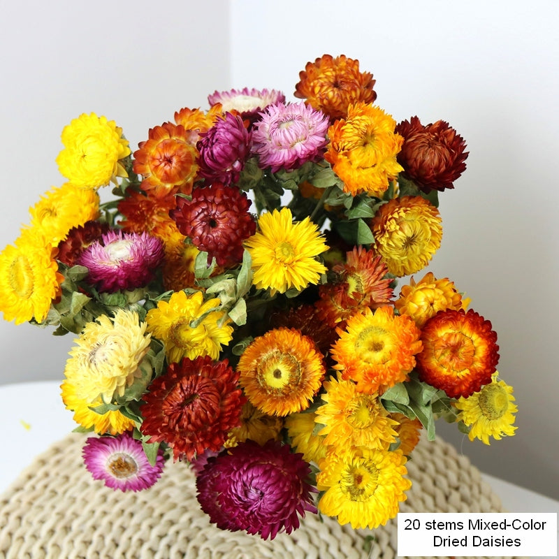 Natural Dried Daisy Flowers, Flower Arrangements, Natural Decorations, A Bunch of Dried Daisy Flowers, Handmade Artificial Flowers for Home Decor-HomePaintingDecor