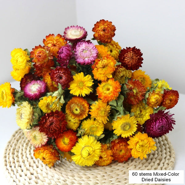 Natural Dried Daisy Flowers, Flower Arrangements, Natural Decorations, A Bunch of Dried Daisy Flowers, Handmade Artificial Flowers for Home Decor-HomePaintingDecor