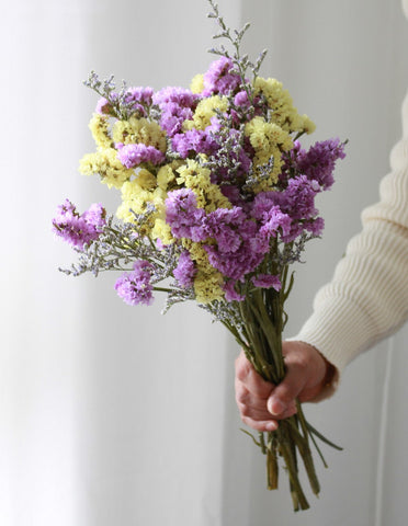 Natural Dried Flower Bunches, Dried Floral, Dried Flowers, A Bunch Dried Myosotis Flowers with Limoniums-HomePaintingDecor