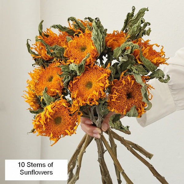 Natural Decorations, A Bunch of Sunflowers, Flower Arrangement, Handmade Artificial Flowers for Home Decor, Natural Dried Sunflower Stems-HomePaintingDecor