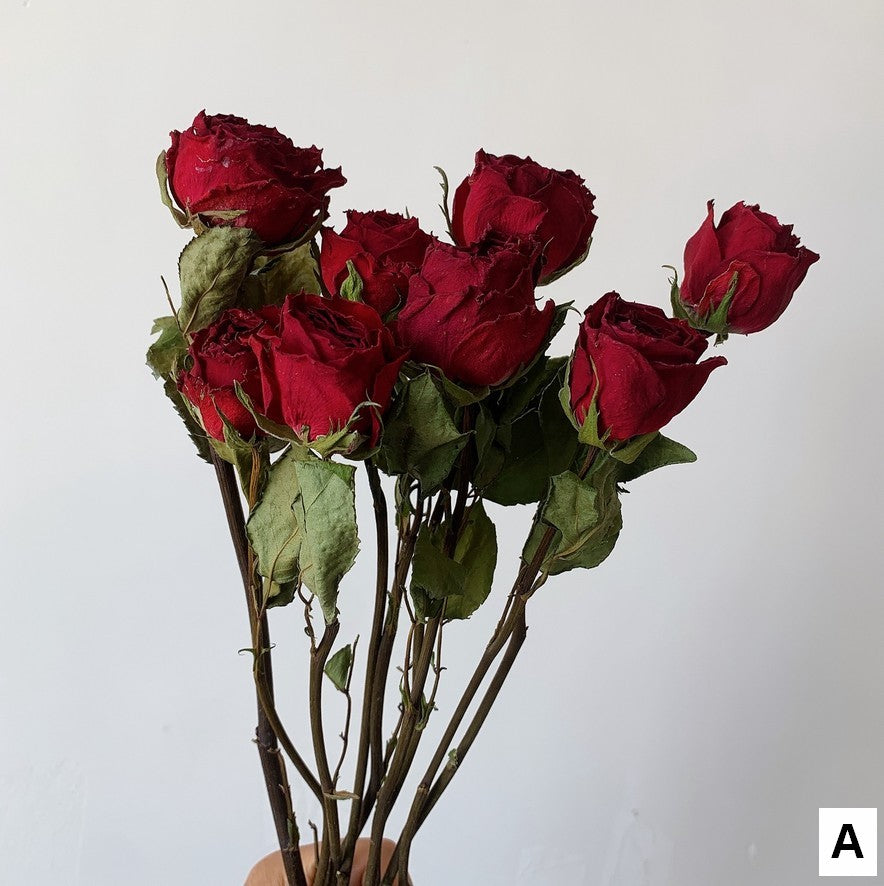 Dried Rose Floral Bouquet, Dried Rose Flowers, Natural Dried Rose Flower Bunches, A Bunch Dried Rose Flowers, Red Yellow Purple Dried Rose Flowers-HomePaintingDecor