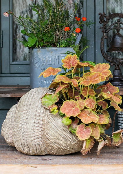 Snail Flowerpot for Garden Decoration, Cute Snail Statues, Garden Animal Statues, Unique Modern Garden Sculptures, Creative Villa Outdoor Gardening Ideas-HomePaintingDecor