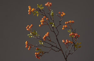 Rustic Artificial Autumn Fruit, Stem 28" Tall, Flower Arrangement, Botanicial Plant-HomePaintingDecor