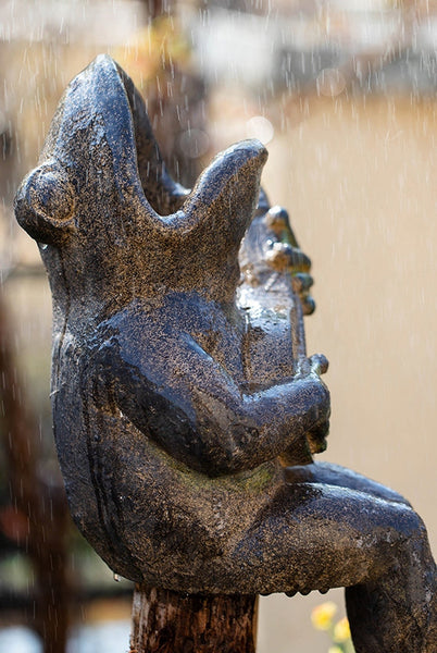 Garden Animal Statues, Unique Modern Garden Sculptures, Frog Flowerpot for Garden Decoration, Beautiful Cute Frog Statues, Creative Villa Outdoor Gardening Ideas-HomePaintingDecor