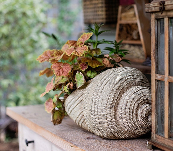 Snail Flowerpot for Garden Decoration, Cute Snail Statues, Garden Animal Statues, Unique Modern Garden Sculptures, Creative Villa Outdoor Gardening Ideas-HomePaintingDecor