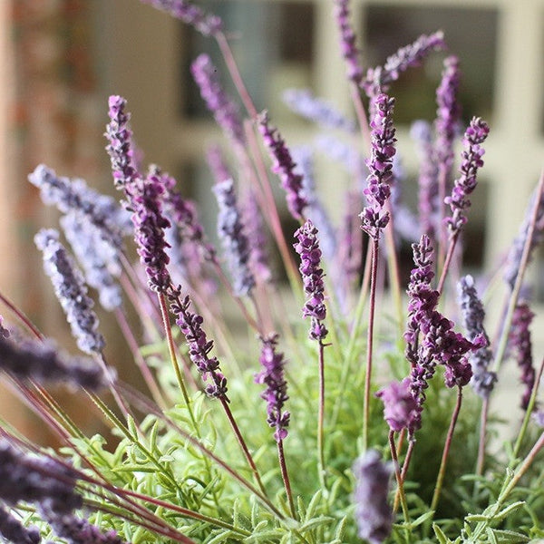 Lavender Flowers, Spring Artificial Floral for Dining Room, Bedroom Flower Arrangement Ideas, Simple Modern Floral Arrangement Ideas for Home Decoration-HomePaintingDecor