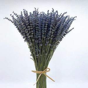 Flower Arrangements, Natural Dried Lavender Flower Bouquet, Natural Dried Lavender Flowers, A Bunch of Dried Lavender Flowers, Handmade Artificial Flowers for Home Decor-HomePaintingDecor