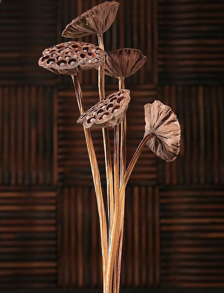 10 Stems Lotus Pods, Dried Lotus Pods, Natural Decor, Rustic Decor, Lotus Flower Arrangement-HomePaintingDecor