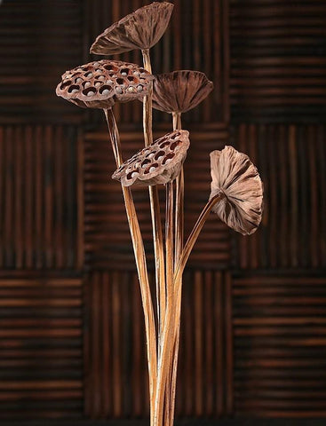10 Stems Lotus Pods, Dried Lotus Pods, Natural Decor, Rustic Decor, Lotus Flower Arrangement-HomePaintingDecor