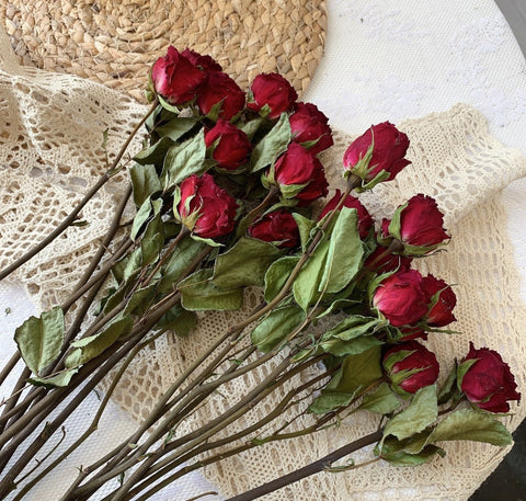 Natural Dried Rose Flower Bunches, Dried Rose Floral Bouquet, Dried Flowers, A Bunch Dried Rose Flowers, Red Yellow Purple Dried Rose Flowers-HomePaintingDecor