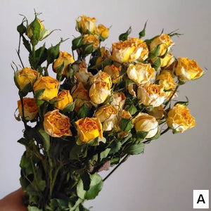 Red Yellow Purple Dried Rose Floral, Dried Rose Flower Bouquet, A Bouquet of Dried Rose Flowers, Natural Dried Rose Flower Bunches, A Bunch Dried Rose Flowers-HomePaintingDecor