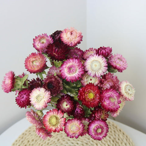 Flower Arrangements, Natural Dried Purple Daisy Flowers, Natural Decorations, A Bunch of Dried Daisy Flowers, Handmade Artificial Flowers for Home Decor-HomePaintingDecor