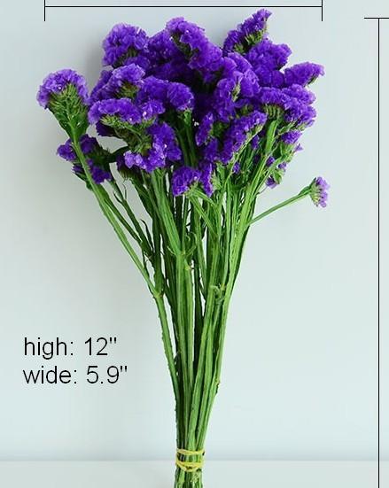 Dried Statices Flower, Dried Flowers, Flower Bunches, Dried Floral-HomePaintingDecor