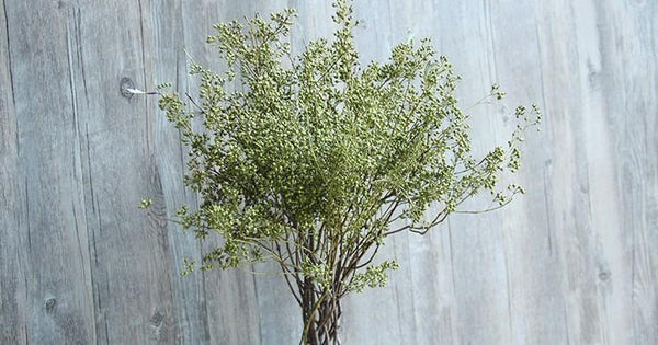 Dried Seek, Dried Flowers, Botanical Home Decor, Seed Stalks. Natural Greenery-HomePaintingDecor