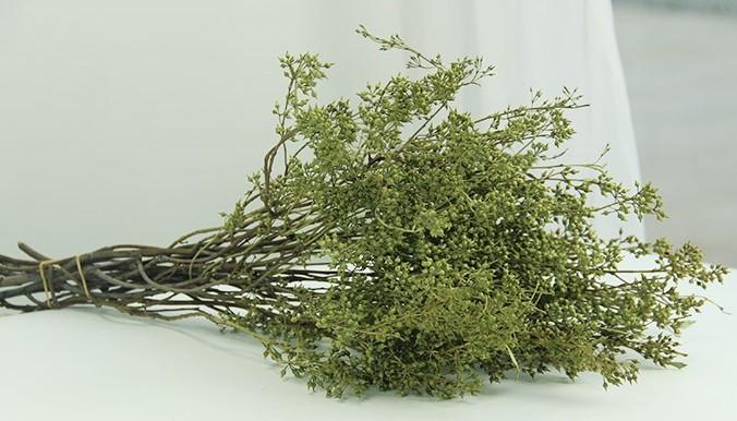 Dried Seek, Dried Flowers, Botanical Home Decor, Seed Stalks. Natural Greenery-HomePaintingDecor