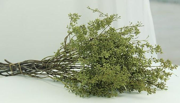 Dried Seek, Dried Flowers, Botanical Home Decor, Seed Stalks. Natural Greenery-HomePaintingDecor