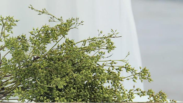 Dried Seek, Dried Flowers, Botanical Home Decor, Seed Stalks. Natural Greenery-HomePaintingDecor