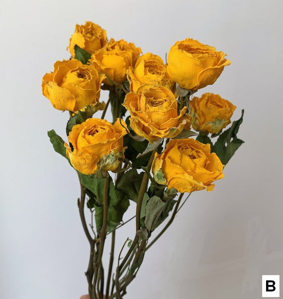 Natural Dried Rose Flower Bunches, Dried Rose Floral Bouquet, Dried Flowers, A Bunch Dried Rose Flowers, Red Yellow Purple Dried Rose Flowers-HomePaintingDecor