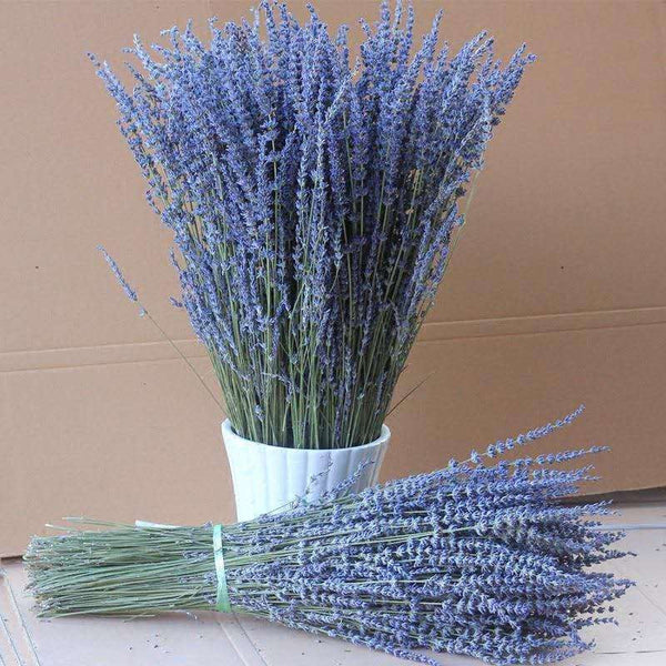 Natural Dried Lavender Flower Bouquet, Natural Dried Lavender Flowers, A Bunch of Dried Lavender Flowers, Handmade Artificial Flowers for Home Decor, Flower Arrangements-HomePaintingDecor