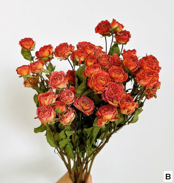 Red Yellow Purple Dried Rose Floral, Dried Rose Flower Bouquet, A Bouquet of Dried Rose Flowers, Natural Dried Rose Flower Bunches, A Bunch Dried Rose Flowers-HomePaintingDecor
