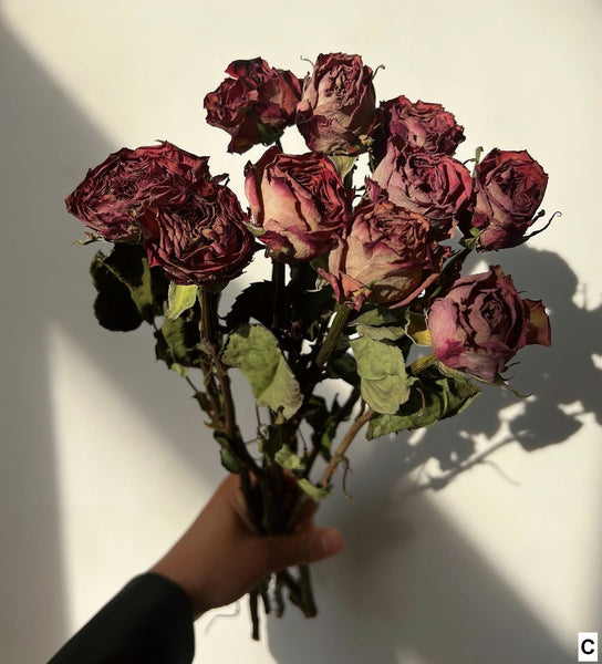 Rose Floral Bouquet, Dried Rose Flowers, Natural Dried Rose Flower Bunches, A Bunch Dried Rose Flowers, Red Yellow Purple Dried Rose Flowers-HomePaintingDecor