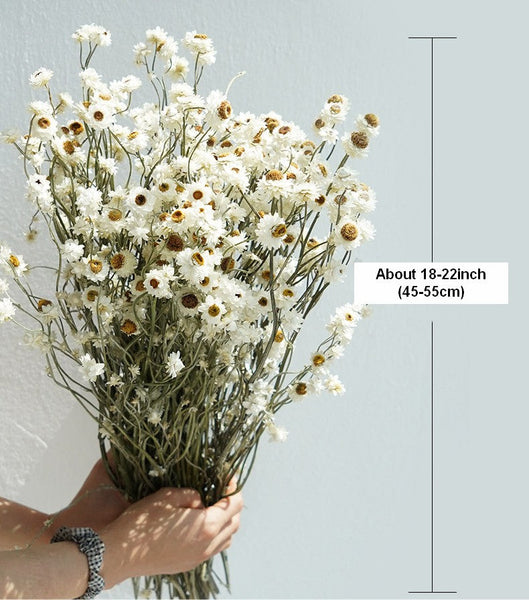 Flower Arrangements, Natural Dried Daisy Flower Bouquet, Natural Dried Daisy Flowers, A Bunch of Dried Daisy Flowers, Handmade Artificial Flowers for Home Decor-HomePaintingDecor
