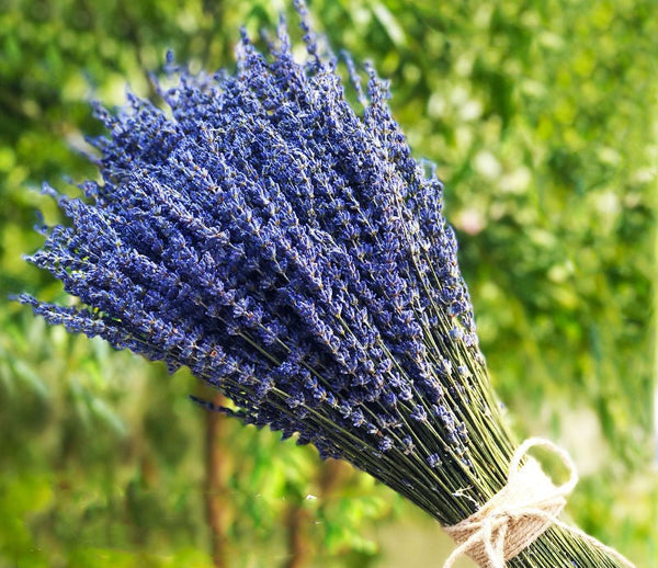 Natural Dried Lavender Flower Bouquet, Natural Dried Lavender Flowers, A Bunch of Dried Lavender Flowers, Handmade Artificial Flowers for Home Decor, Flower Arrangements-HomePaintingDecor