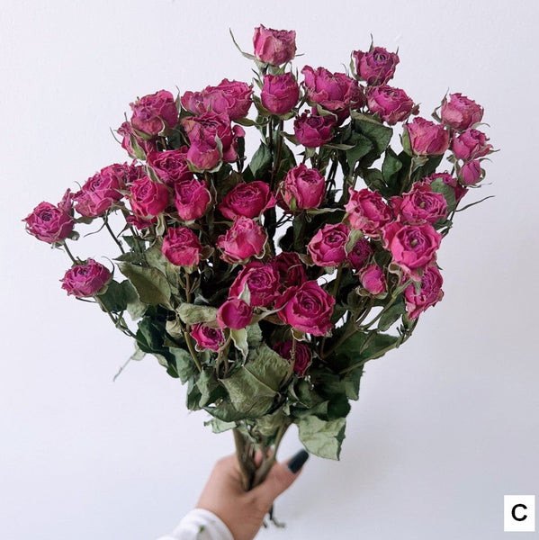 A Bouquet of Dried Rose Flowers, Dried Rose Flower Bouquet, Natural Dried Rose Flower Bunches, A Bunch Dried Rose Flowers, Red Yellow Purple Dried Rose Floral-HomePaintingDecor