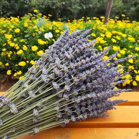 Natural Dried Lavender Flower Bouquet, Natural Dried Lavender Flowers, A Bunch of Dried Lavender Flowers, Handmade Artificial Flowers for Home Decor, Flower Arrangements-HomePaintingDecor