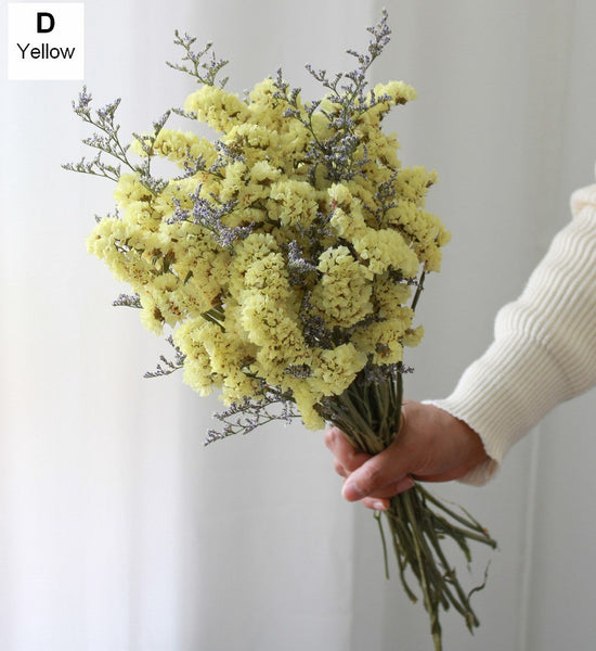 A Bunch Dried Myosotis Flowers with Limoniums, Dried Flowers, Flower Bunches, Dried Floral-HomePaintingDecor