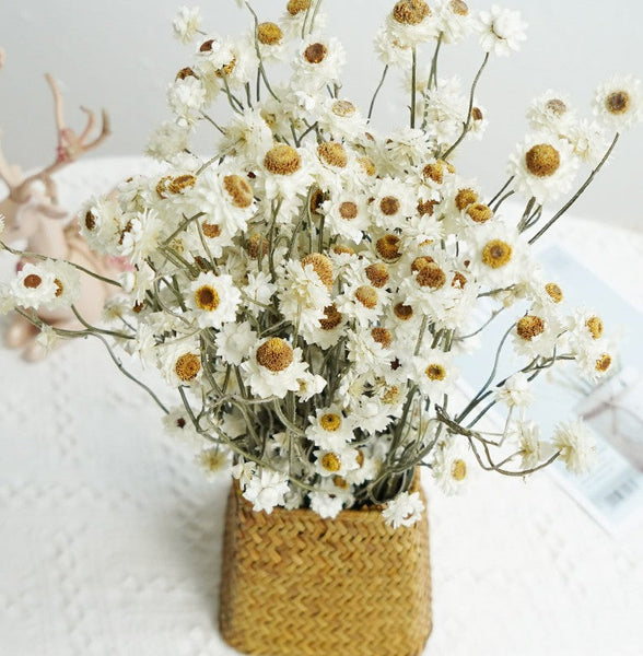 Flower Arrangements, Natural Dried Daisy Flower Bouquet, Natural Dried Daisy Flowers, A Bunch of Dried Daisy Flowers, Handmade Artificial Flowers for Home Decor-HomePaintingDecor