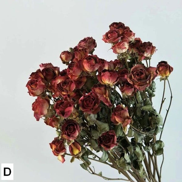Red Yellow Purple Dried Rose Floral, Dried Rose Flower Bouquet, A Bouquet of Dried Rose Flowers, Natural Dried Rose Flower Bunches, A Bunch Dried Rose Flowers-HomePaintingDecor