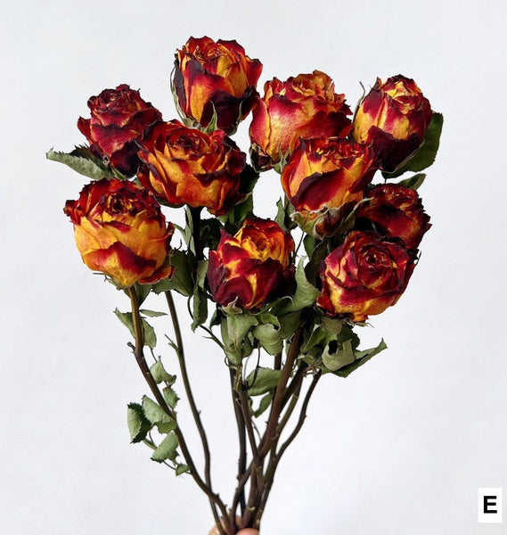 Rose Floral Bouquet, Dried Rose Flowers, Natural Dried Rose Flower Bunches, A Bunch Dried Rose Flowers, Red Yellow Purple Dried Rose Flowers-HomePaintingDecor