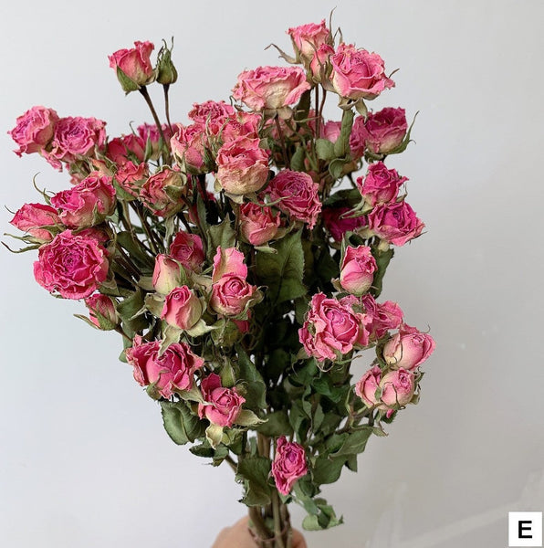 Red Yellow Purple Dried Rose Floral, Dried Rose Flower Bouquet, A Bouquet of Dried Rose Flowers, Natural Dried Rose Flower Bunches, A Bunch Dried Rose Flowers-HomePaintingDecor