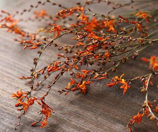 Natural Decorations, Flower Arrangement, Handmade Artificial Flower, Dried Fire Orchid Bouquet, Natural Dried Flowers-HomePaintingDecor