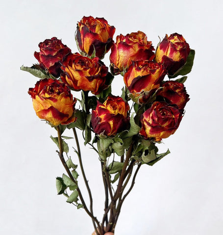 Rose Floral Bouquet, Dried Rose Flowers, Natural Dried Rose Flower Bunches, A Bunch Dried Rose Flowers, Red Yellow Purple Dried Rose Flowers-HomePaintingDecor