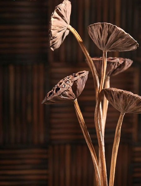 10 Stems Lotus Pods, Dried Lotus Pods, Natural Decor, Rustic Decor, Lotus Flower Arrangement-HomePaintingDecor