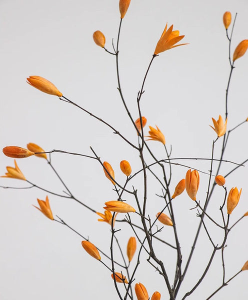 Dried Magnolia Branch, Magnolia Long Twigs, Natural Decorations, Flower Arrangement, Handmade Artificial Flower, Natural Dried Branches-HomePaintingDecor