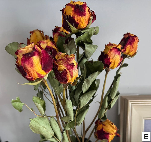 Natural Dried Rose Flower Bunches, Dried Rose Floral Bouquet, Dried Flowers, A Bunch Dried Rose Flowers, Red Yellow Purple Dried Rose Flowers-HomePaintingDecor
