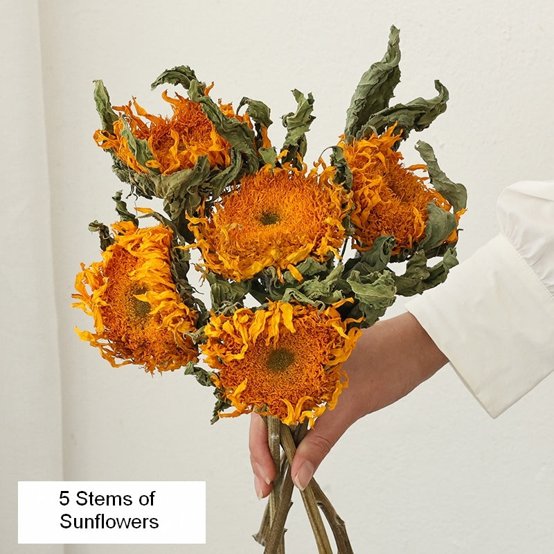 Natural Decorations, A Bunch of Sunflowers, Flower Arrangement, Handmade Artificial Flowers for Home Decor, Natural Dried Sunflower Stems-HomePaintingDecor