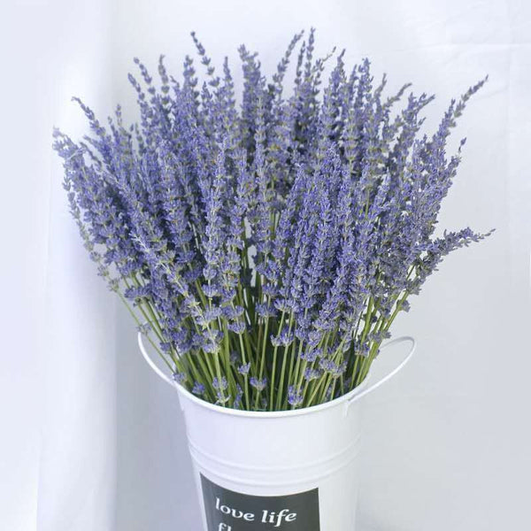 Flower Arrangements, Natural Dried Lavender Flower Bouquet, Natural Dried Lavender Flowers, A Bunch of Dried Lavender Flowers, Handmade Artificial Flowers for Home Decor-HomePaintingDecor