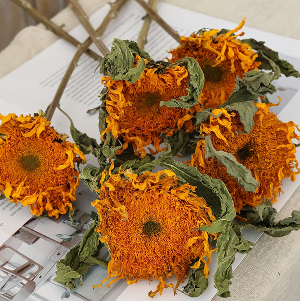 Natural Decorations, A Bunch of Sunflowers, Flower Arrangement, Handmade Artificial Flowers for Home Decor, Natural Dried Sunflower Stems-HomePaintingDecor