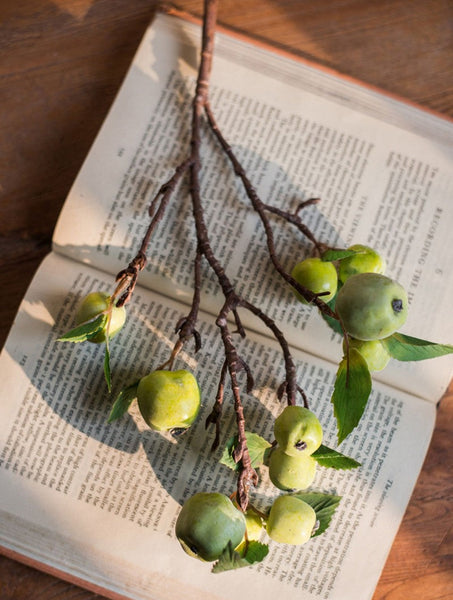 Beautiful Modern Flower Arrangement Ideas for Home Decoration, Apple Branch, Fruit Branch, Table Centerpiece, Simple Artificial Floral for Dining Room-HomePaintingDecor
