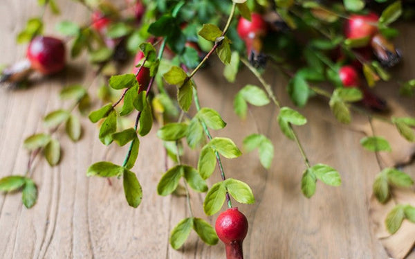 Pomegranate Branch, Beautiful Flower Arrangement Ideas for Home Decoration, Table Centerpiece, Artificial Fruit Plants, Spring Artificial Floral for Dining Room-HomePaintingDecor